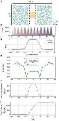 Unifying Single-Channel Permeability From Rare-Event Sampling and Steady-State Flux